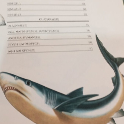 How Nature Works children's book used