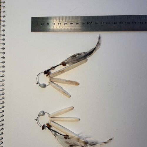 Artisan Sea Urchin & Feather Earrings like new from New Caledonia