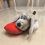 Plush dog with red heart like new