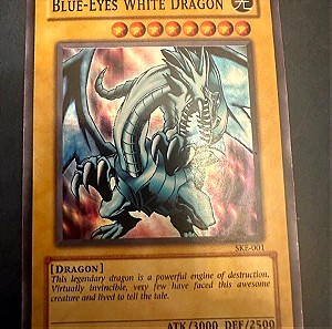 Blue eyes white dragon