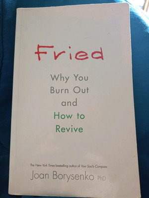 Fried Joan Borysenko book like new about burn out