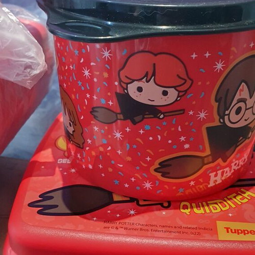 Harry Potter Tupperware set, 600 ml container and sandwich box