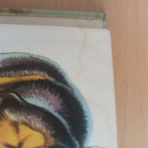 Book Mammals Strange & Exotic like new, 1965 English edition