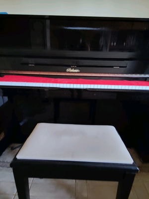 Bohemia 123 Exclusive Upright Piano used, excellent condition
