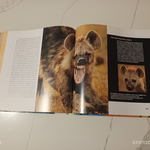 The Encyclopedia of Animals Volume 2 Used, The Lion and the World of the Savanna