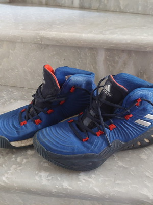 Adidas Crazy Explosive 2017 Loyalty basketball shoes