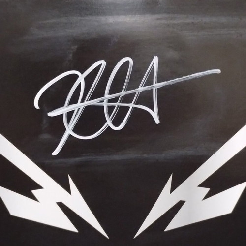 Metallica Death Magnetic 2LP and Beyond Magnetic LP signed, like new