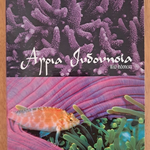 Wild Indonesia DVD like new