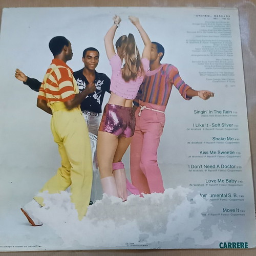 Vinyl record