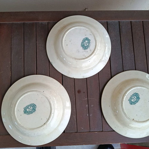 English deep plates Wild Rose Nuneham Courtenay set of 3 like new, green