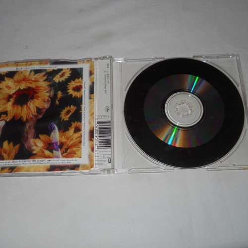 Meredith Brooks Bitch CD single used, rock