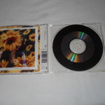Meredith Brooks Bitch CD single used, rock