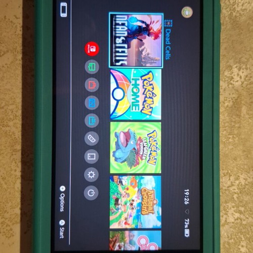 Nintendo Switch Lite used, fully functional