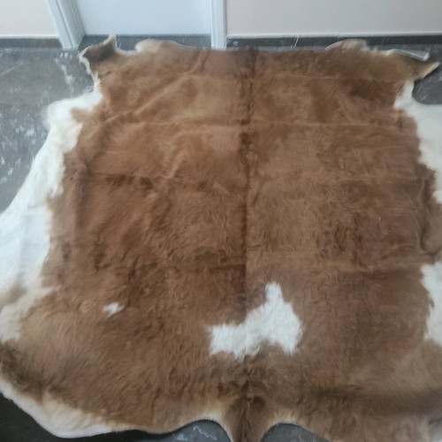 Cowhide rug like new, brown with white