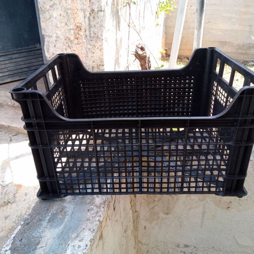 Plastic crate like new for transporting fruits and vegetables