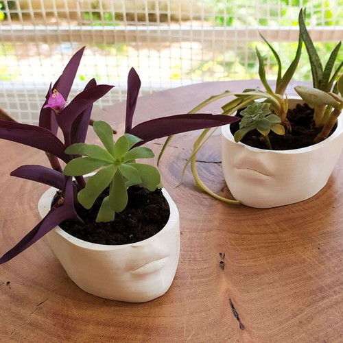 3D Printed Female Face Planter New