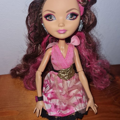Ever After High Briar Beauty doll used with accessories