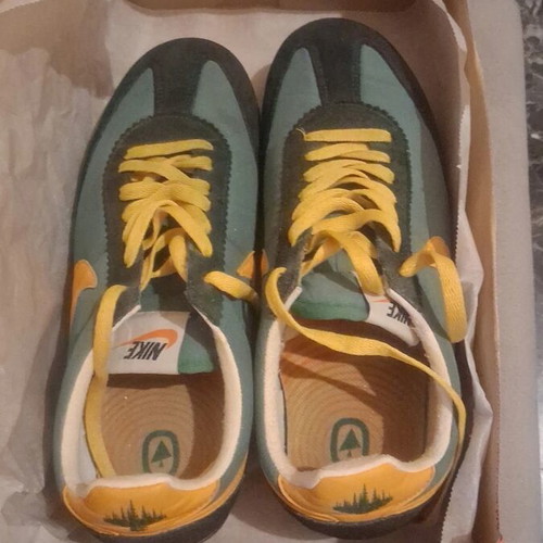 Nike Oregon Waffle Daybreak sneakers used, size 39, green and yellow