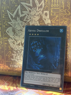 Yu-Gi-Oh! Abyss Dweller Rank 4 Xyz Monster card