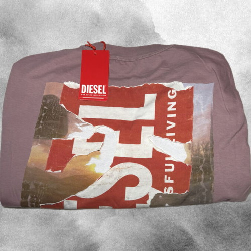 Diesel Mauve Long-Sleeve Shirt Size L New