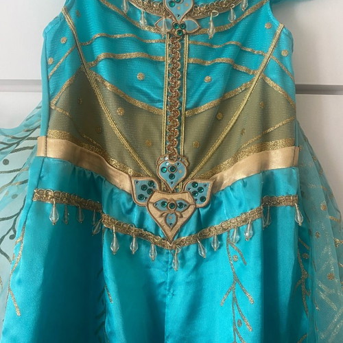Jasmine costume from Disneyland with slight wear, size 7-8