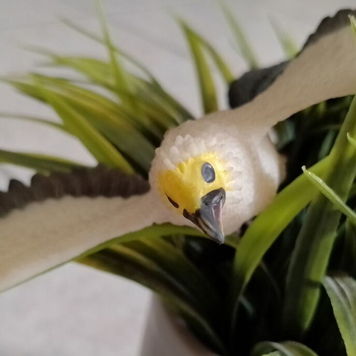 Set of 4 used wild rubber birds for sensory play
