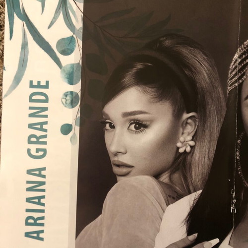 Ariana Grande/Demi Lovato poster like new from U girl magazine