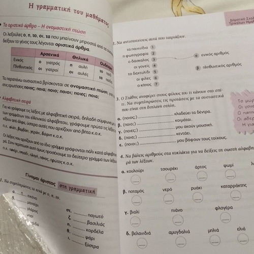 Language Book Grade 3 used like new (2012)