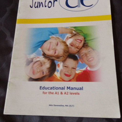 Junior CIE English book used, slight cover stain