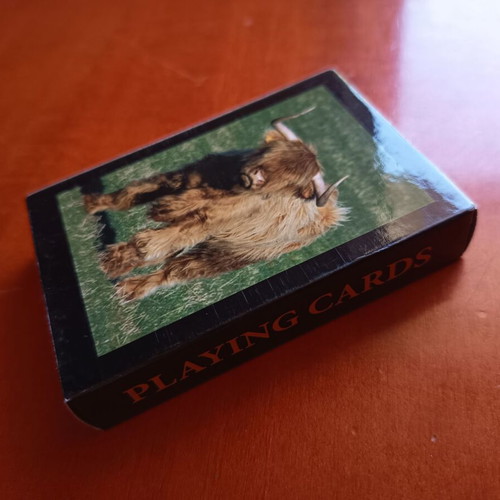 Glen Appin of Scotland Highland Cow Playing Cards brand new