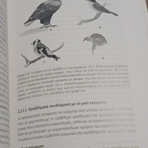 General Ecology: An Introduction by Despoina Vokou like new, Greek