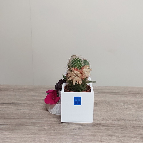 Nisiotika Spitakia 3D Printed Decorative Plant Holder new