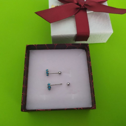 925 silver earrings used with turquoise color