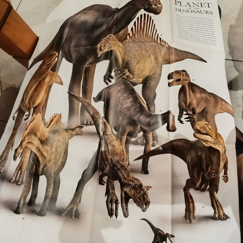 National Geographic Planet of the Dinosaurs double-sided map
