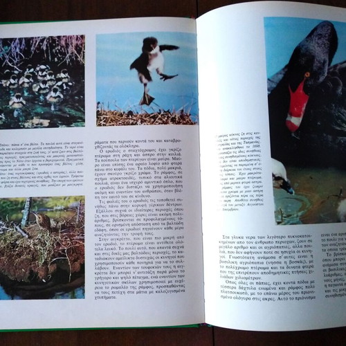 Walt Disney The Secrets of Animals book used, Greek