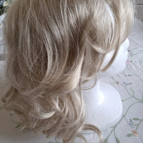 Paula Young wig new, unworn from America