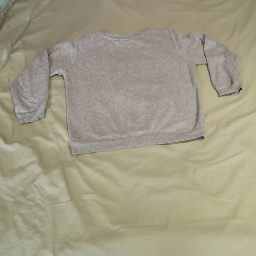 Disnef H&M sweatshirt 8-10 years girl grey with Daisy design used
