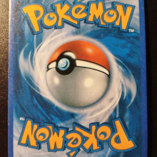Pokemon Dachsbun Stage 1 card 2024