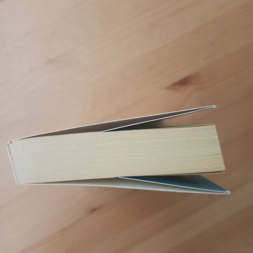 The Woman Who Died Twice novel used