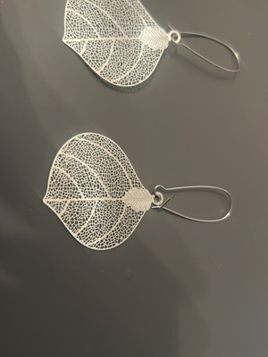 Earrings in silver color new