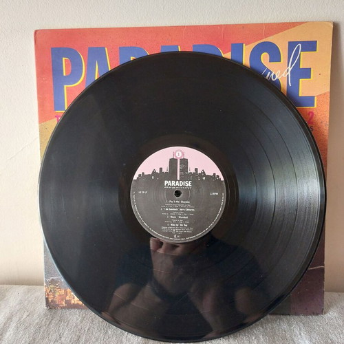Various Paradise Regained The Garage Sound Of Deepest New York Vol. 2 vinyl used, electronic