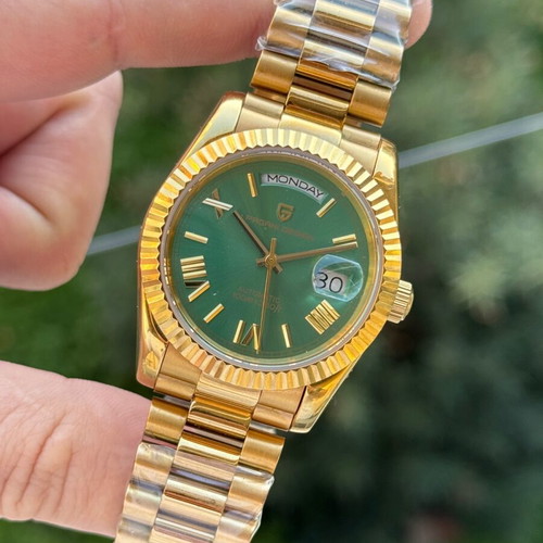 Pagani Design men's watch like new, gold color, automatic