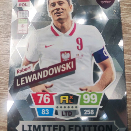 Panini collectible football card new