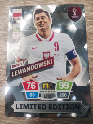 Panini collectible football card new