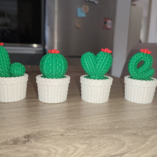 3D-Printed Mini Cactus Set Love, new