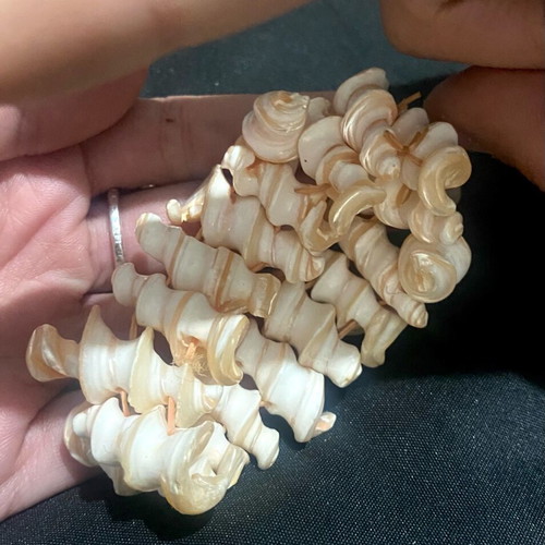 Bracelet elastic like new, natural seashells in white and pink tones