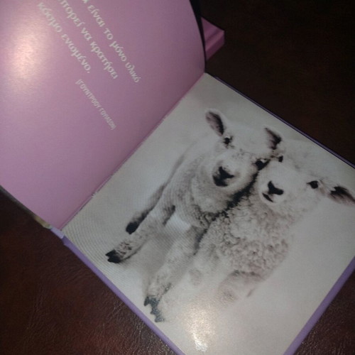 Photographic albums for animals like new, Pantominoi Filoi and Show Me Your Friend