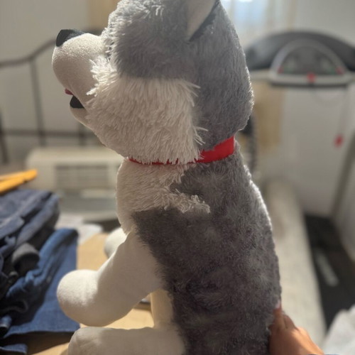 Plush husky large, like new