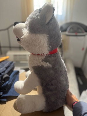 Plush husky large, like new