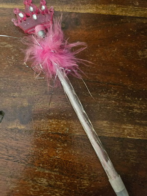 Fancy pen new